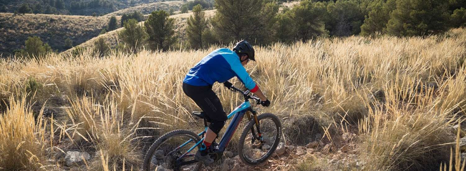 Mondraker 2020
