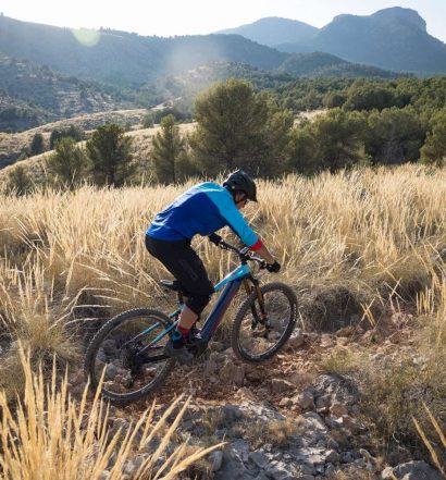 Mondraker 2020