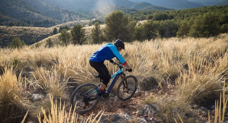 Mondraker 2020