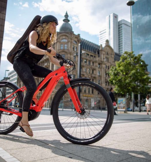 Cannondale Canvas NEO 2020