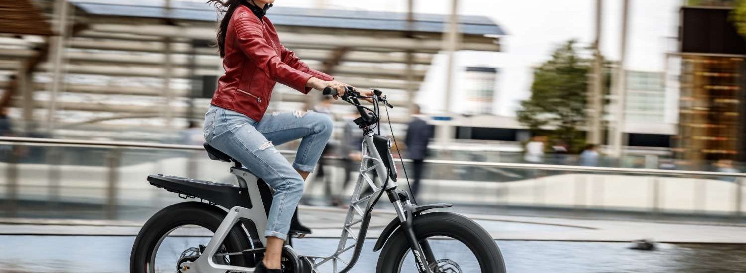 Fantic Issimo 2020