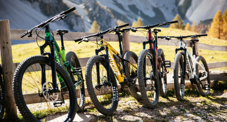 BärenBikes 2020