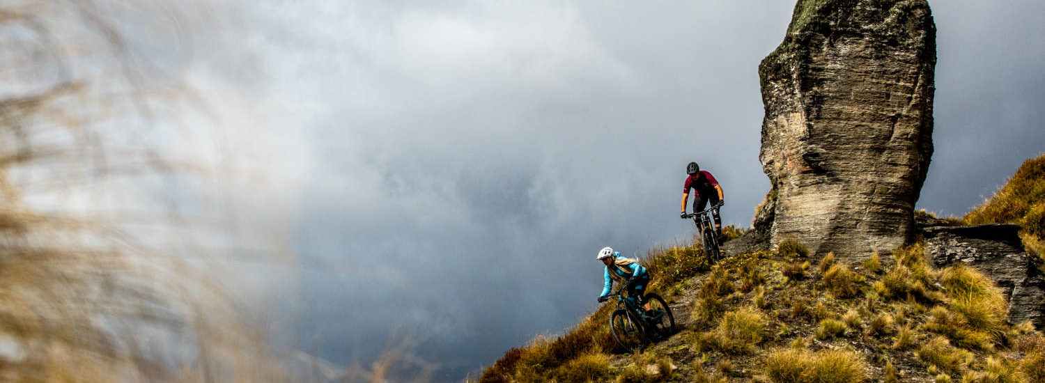Specialized Turbo Levo SL for 2020