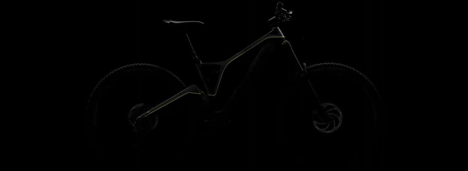 Forestal eMTB 2020