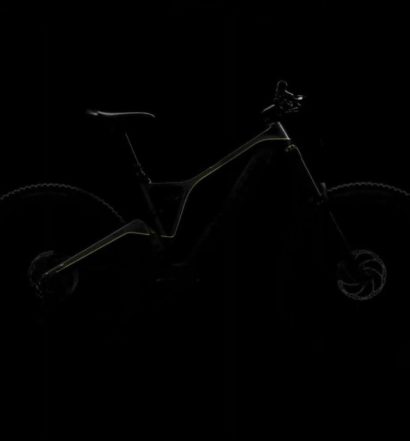 Forestal eMTB 2020