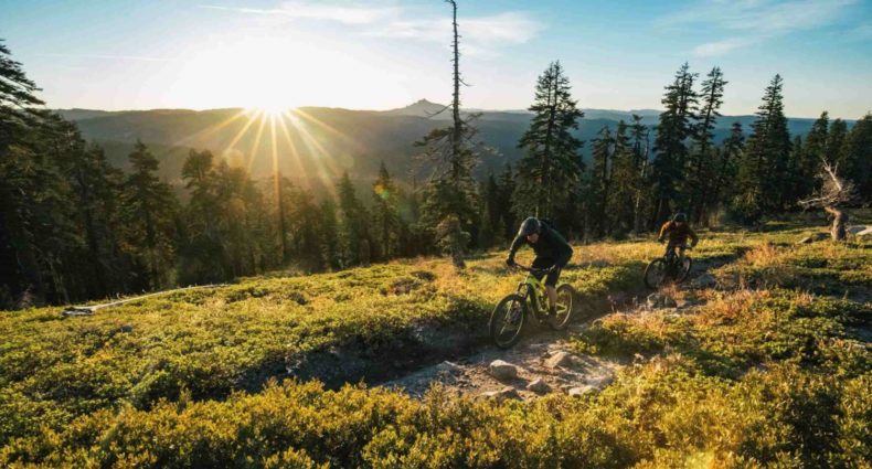 Santa Cruz Heckler 2020
