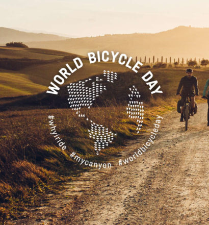 World Bicycle Day