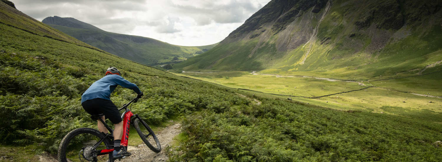 Trek Powerfly FS 2021