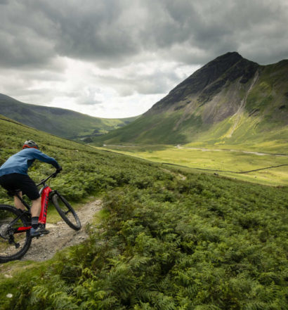 Trek Powerfly FS 2021