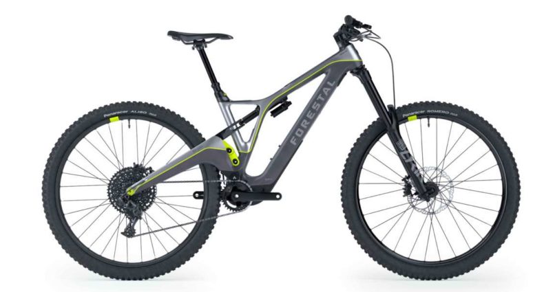 Forestal Siryon 2021