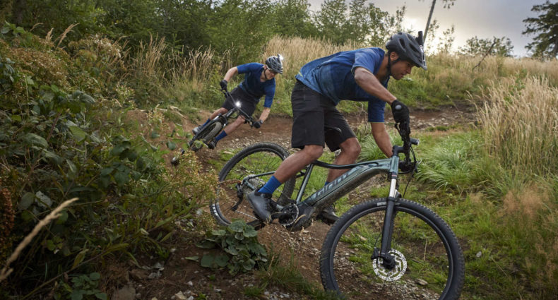 Giant Talon E+ 29 2021