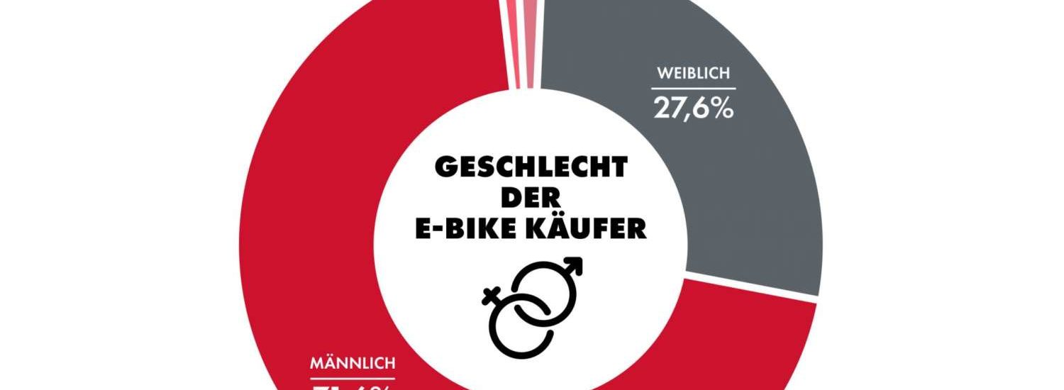 E-Bike-Studie 2020 Fahrrad XXL
