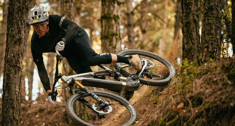 Greg Williamson META POWER TR