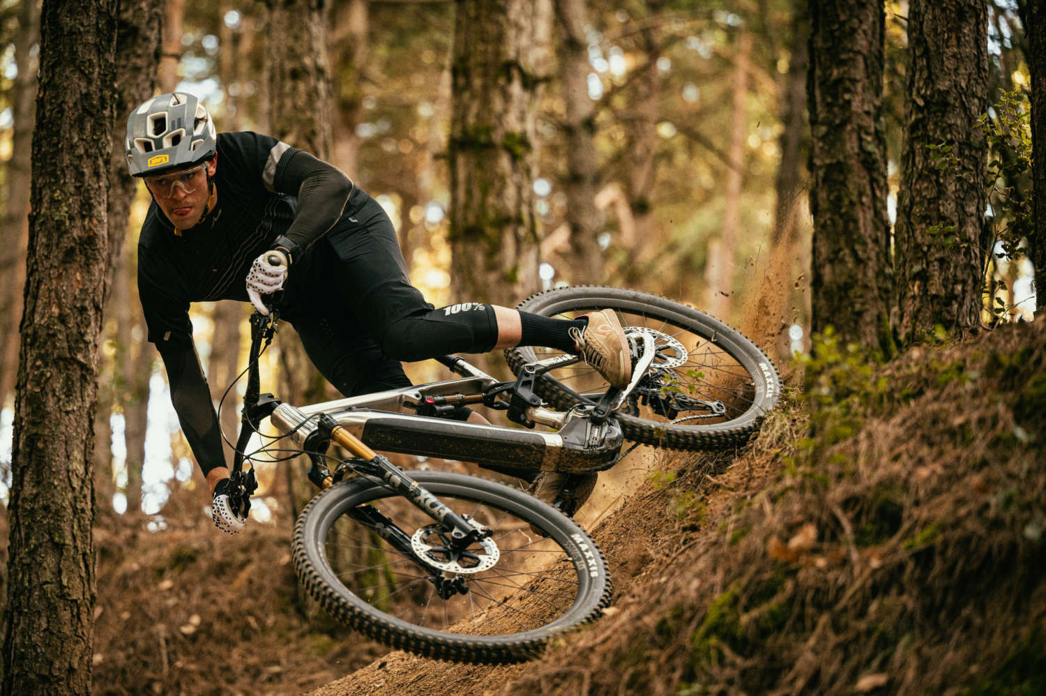 Greg Williamson META POWER TR