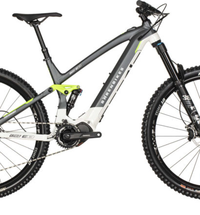 Bären Bikes GRIZZLY E 9.1