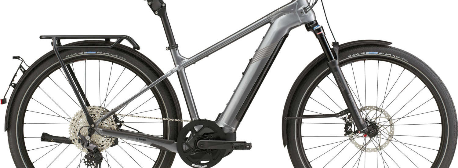 Cannondale Tesoro Neo X Speed 2022