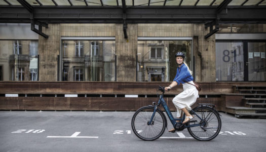 Diamant Mandara Deluxe+ – kompromissloses Trekking E-Bike für 2021