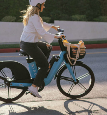 Bird E-Bike 2021