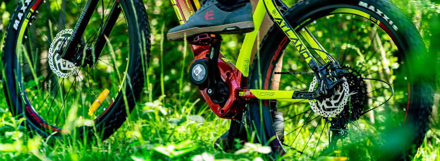 Oli Sport Plus Test 2021