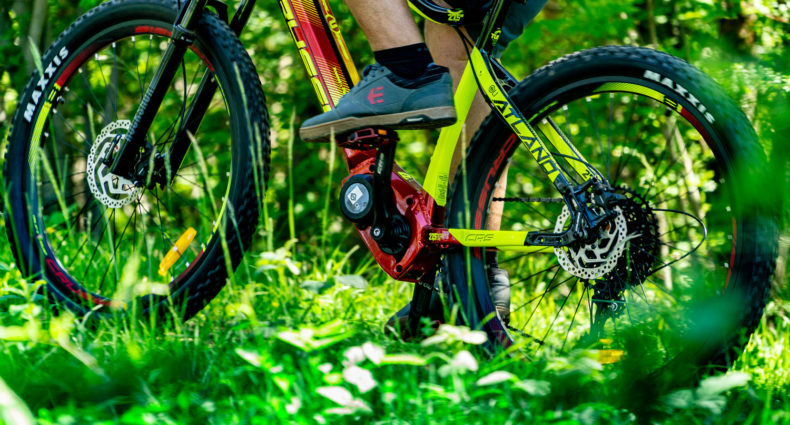 Oli Sport Plus Test 2021