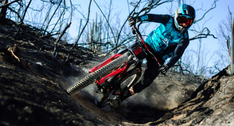 iXS Xult DH 2022