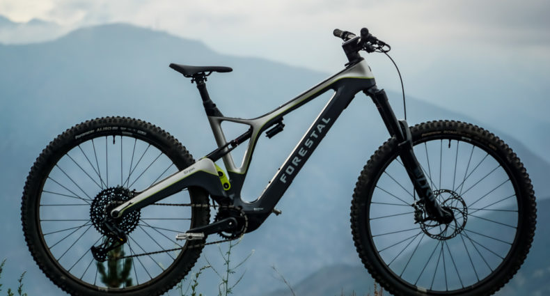 Forestal Siryon Edition One