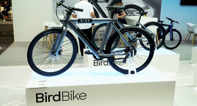 Bird Bike 2022