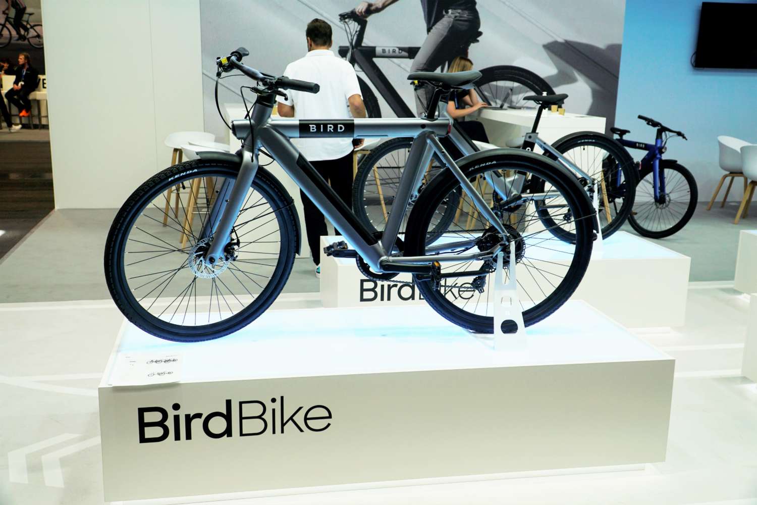 Bird Bike 2022