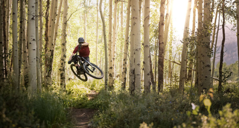 Rock Shox Flight Attendant