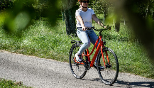 BZEN Amsterdam – leichtes E-Bike für Stadt und Umland im Test