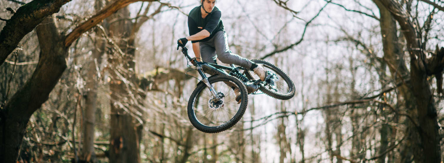 NS Bikes E-Fine 2022