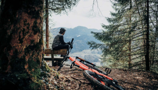 Konfliktzone Wald: Mountainbiken als Chance verstehen