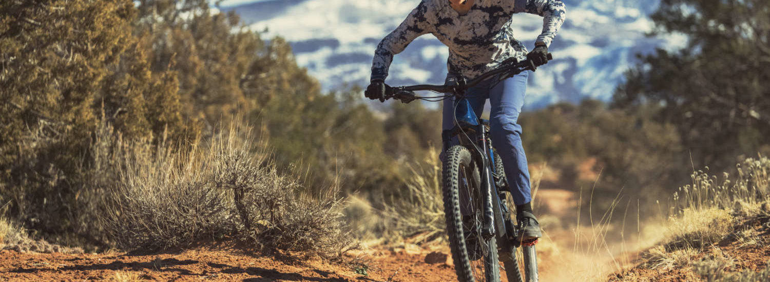 Cannondale Moterra NEO 2022
