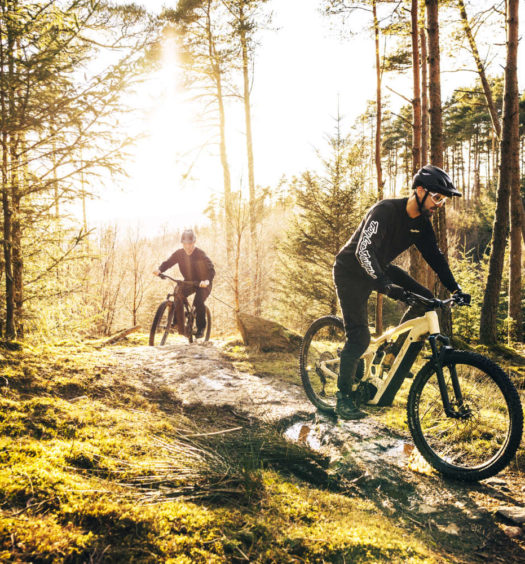 Focus 2022 Bosch Smart System