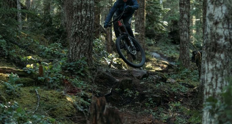Devinci 2022 E-MTB