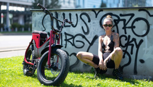 Lil’Missy von Ruff Cycles soll Hollandräder in den Ruhestand schicken