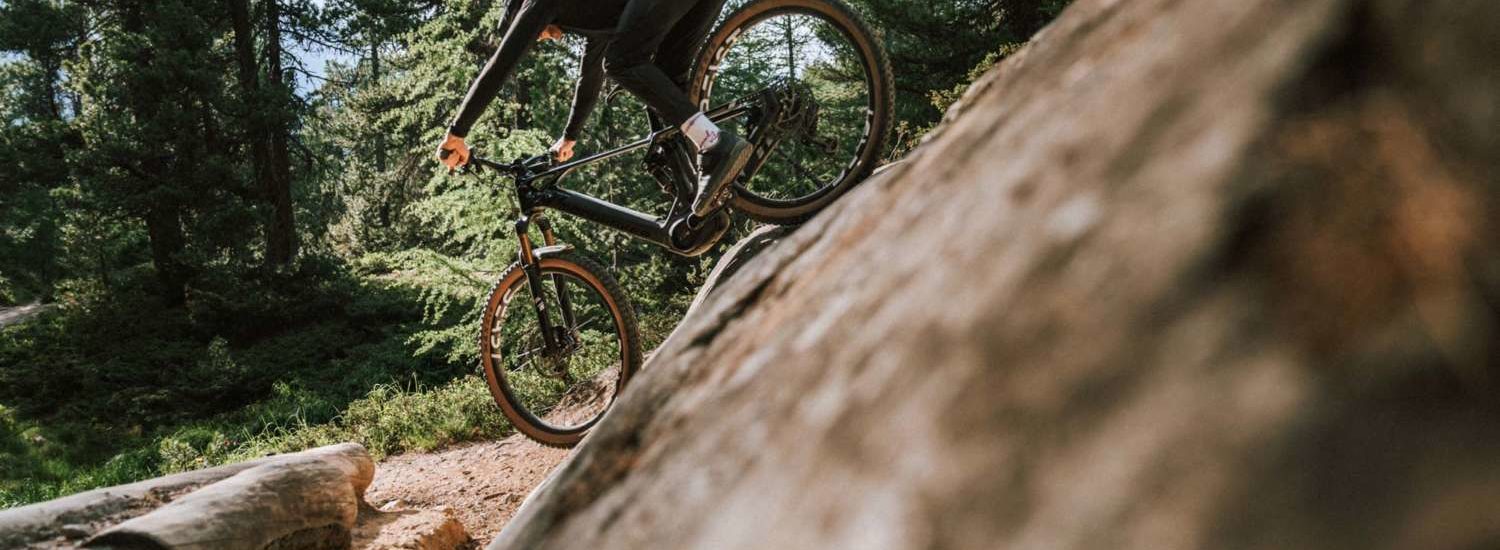 TRP EVO 2022