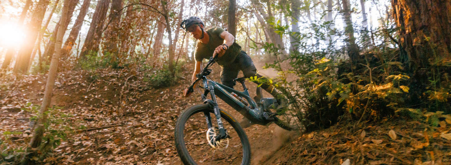 Ibis Cycles Oso 2023