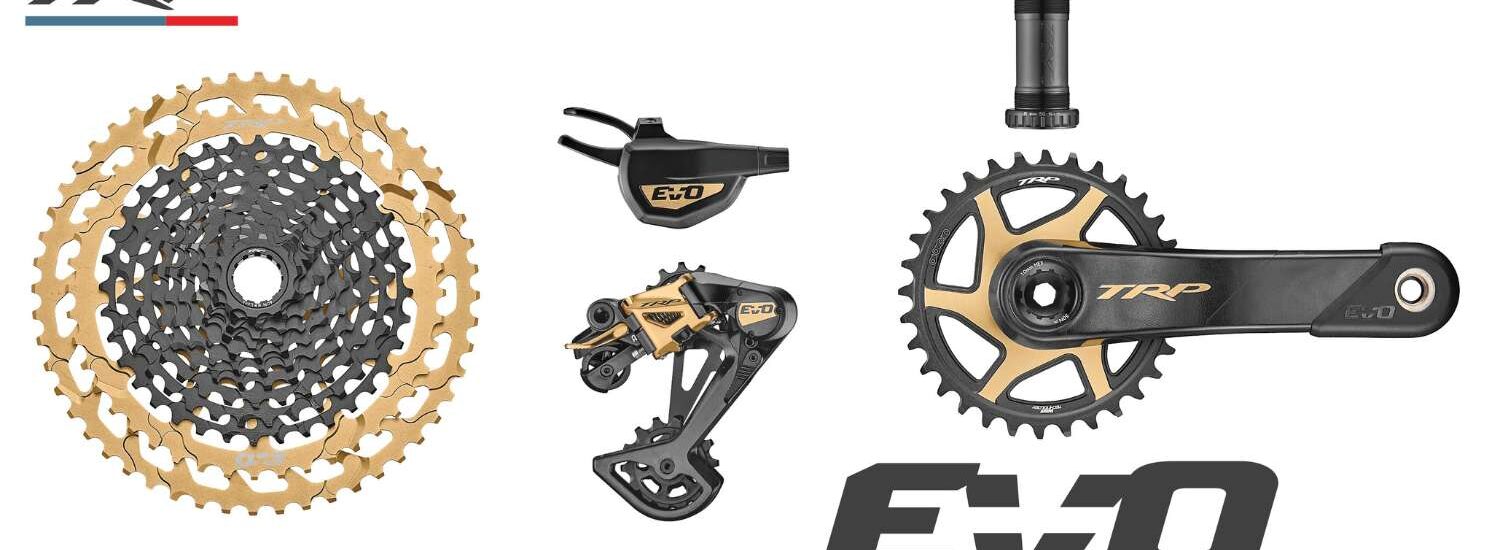 TRP EVO 12 Gold 2023