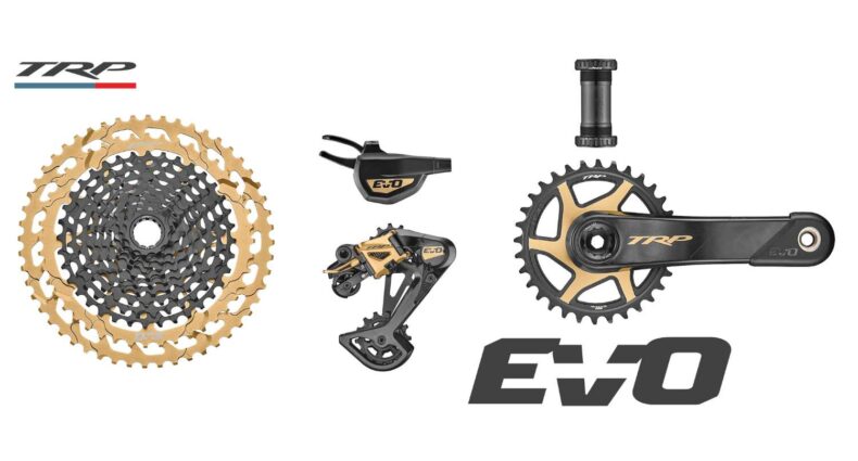 TRP EVO 12 Gold 2023
