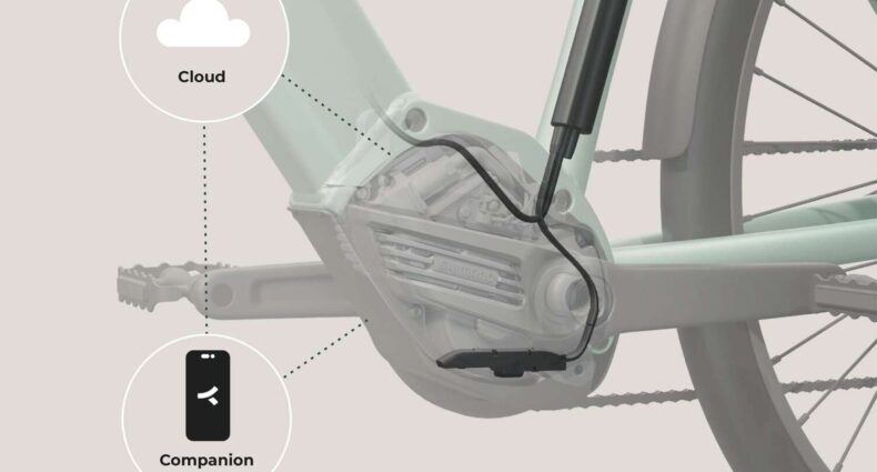 Comodule Shimano 2023