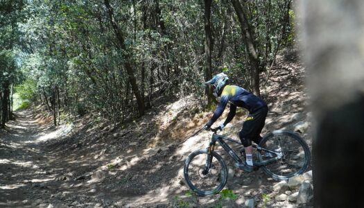 Fazua Ride 60 – neues Update lässt Pedal-Gap verschwinden und macht Antrieb reaktiver (First Ride)