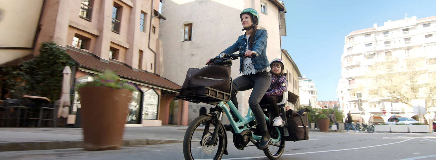 Tern HSD 2024