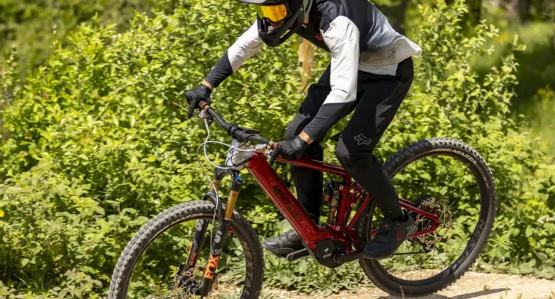 Nextale Spectrum 2024