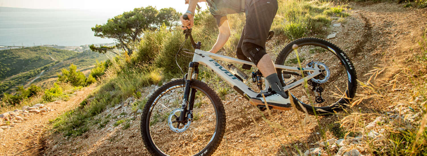 Pivot Shuttle AM 2024