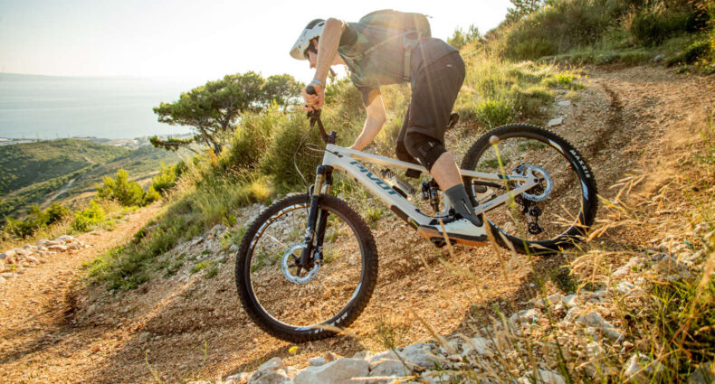 Pivot Shuttle AM 2024