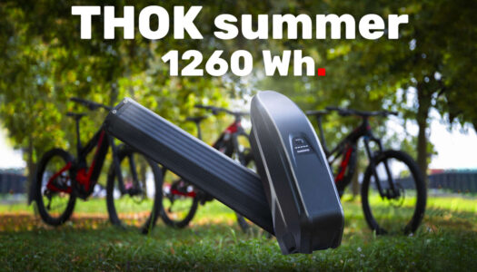 Zweite Batterie gratis: THOK-Aktion gibt dem Sommer neue Energie!