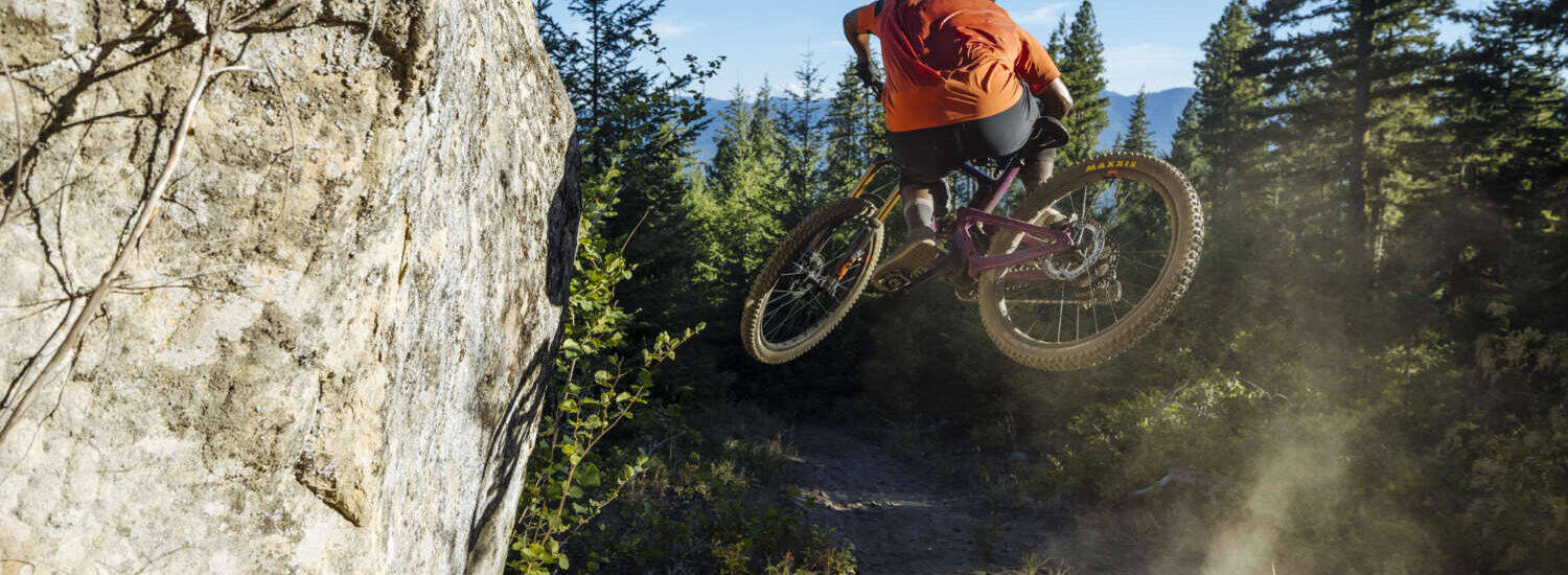Santa Cruz Heckler SL 2024