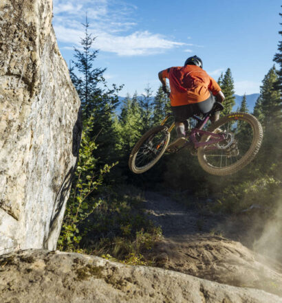 Santa Cruz Heckler SL 2024