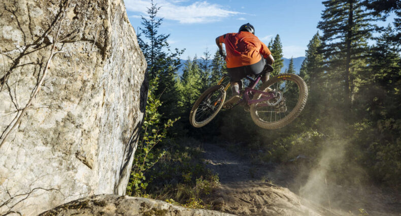 Santa Cruz Heckler SL 2024